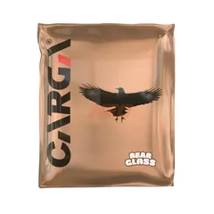 Carga Bearglass 40x40 300 GSM Mikrofiber Oto Cam Bezi — görsel 1